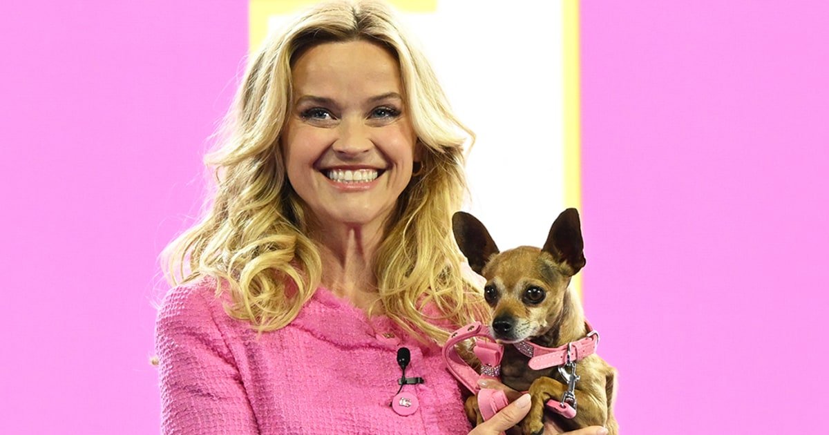 Legally Blonde Prequel Series coming to Prime Video